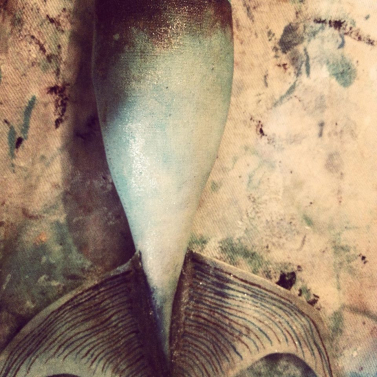 mermaid tail 