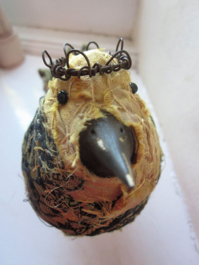 sari bird with crown