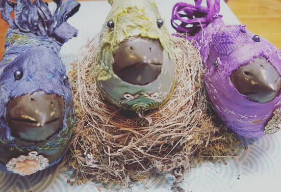 sari birds at home