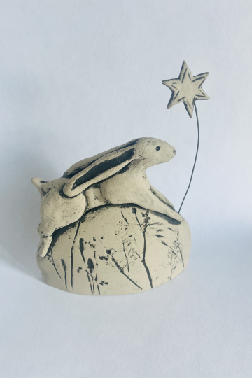 ‘Wish upon a star’